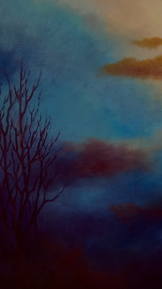 Still Willows