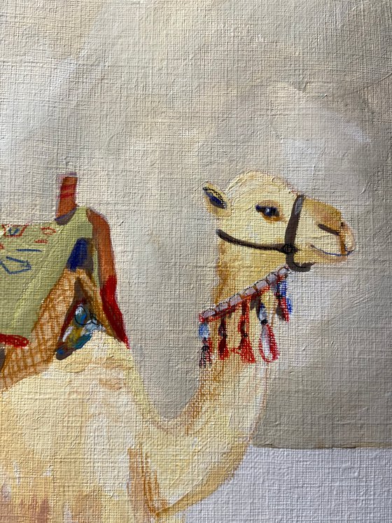 Camel