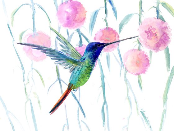 Hummingbird