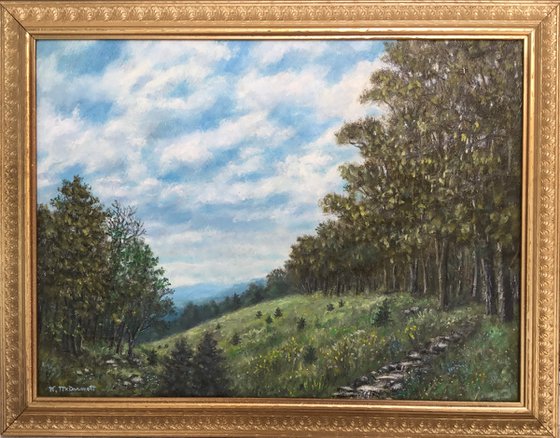 HIGH MEADOW with Pine Seedlings - oil 15X20