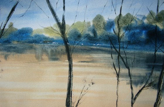 Amazon river