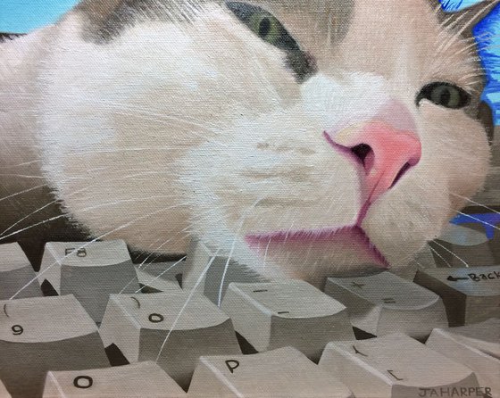 Cat on the Keyboard