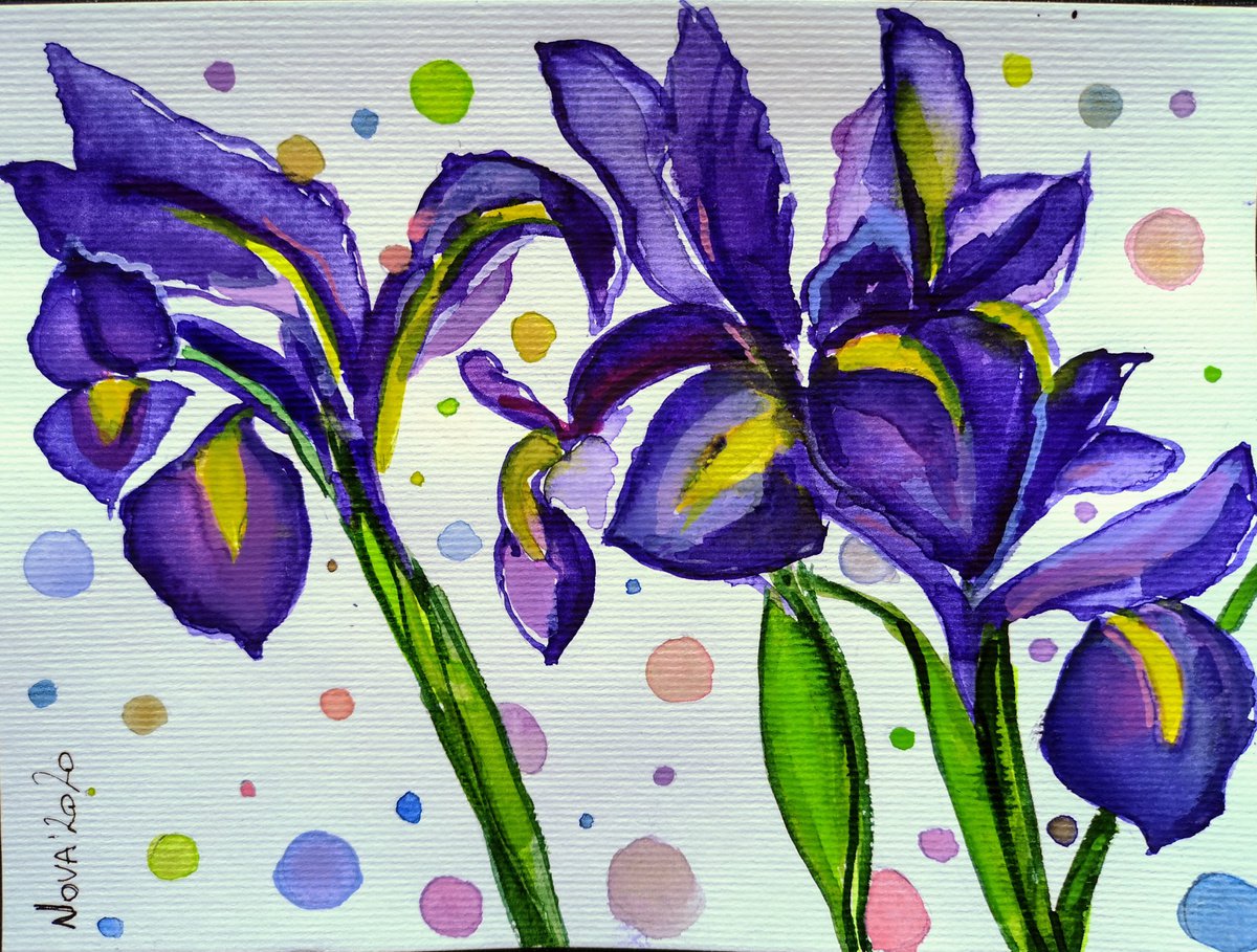 Irises by Jelena Nova