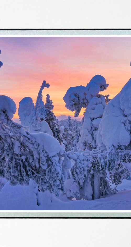 Finland Snow Forest ten by Robin Clarke