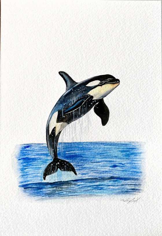 Orca