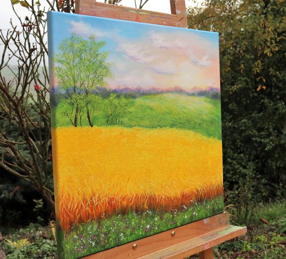 Sunrise at the wheat field
