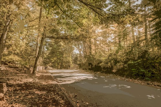 Lakeside Drive