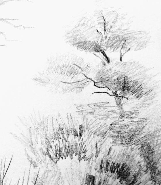 Plein air. Sketch # 5. Original pencil drawing.