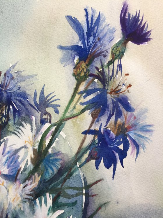 A bouquet of cornflowers. Blue flowers.