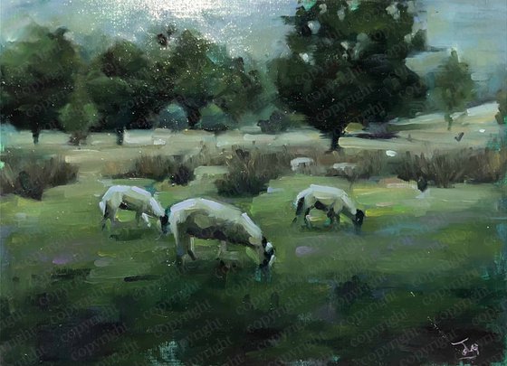 A Flock At Rest