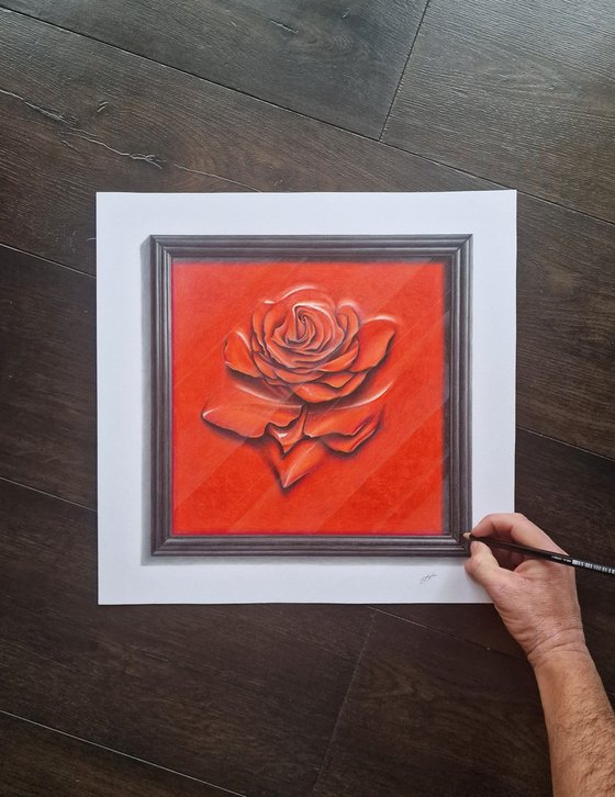 Rose behind glass within a frame