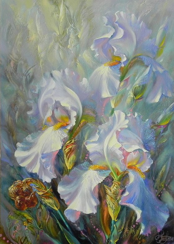 "White irises"