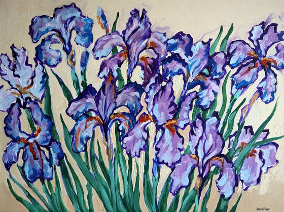 Irises on Cream