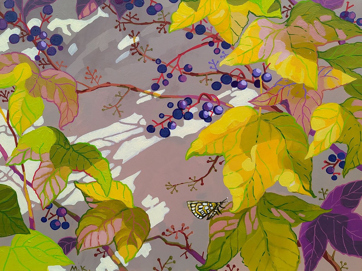 Veitchii grapes by Margot Raven