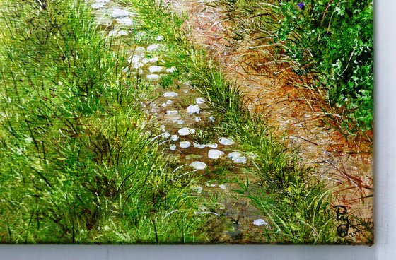 Phacelia to the Sea