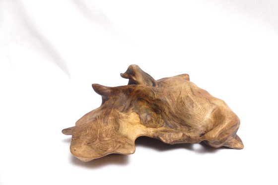 Be Like Water (2025)