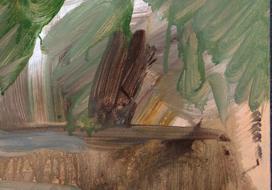 Pond 4