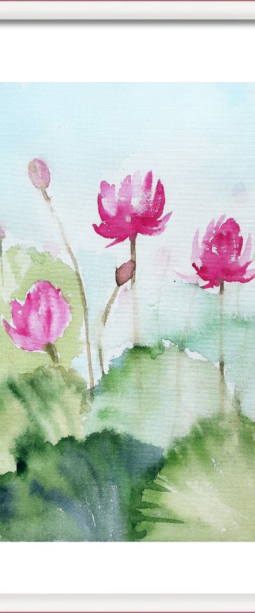 Pink water lilies -10 by Asha Shenoy