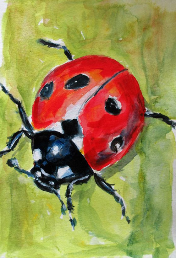 Ladybird 2