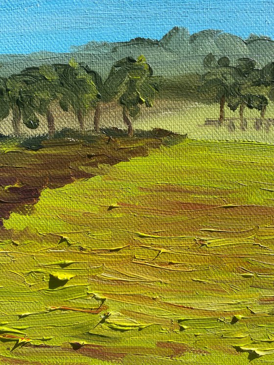 Expansive Horizon