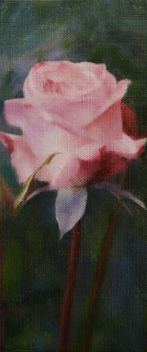 Rose and the Stream of Time by KAZUHIKO
