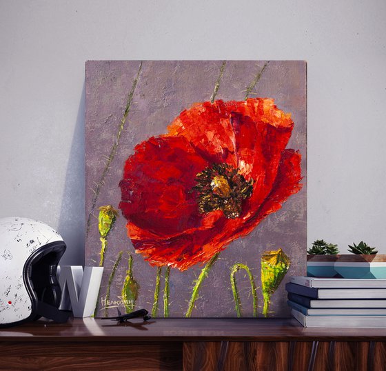 Red poppy