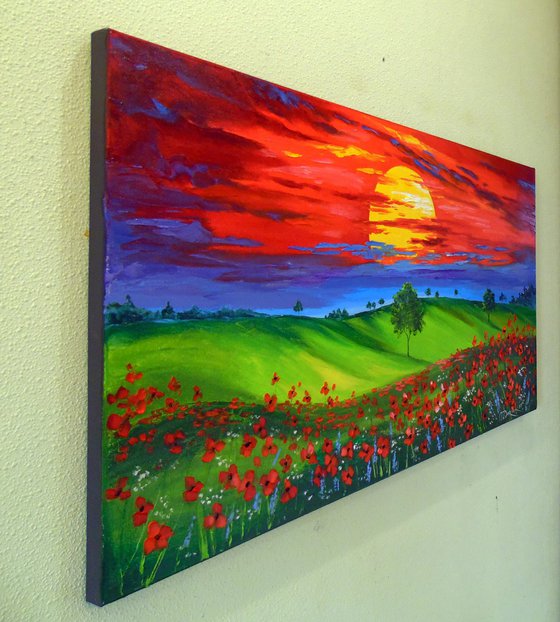 Sunset over a poppy field