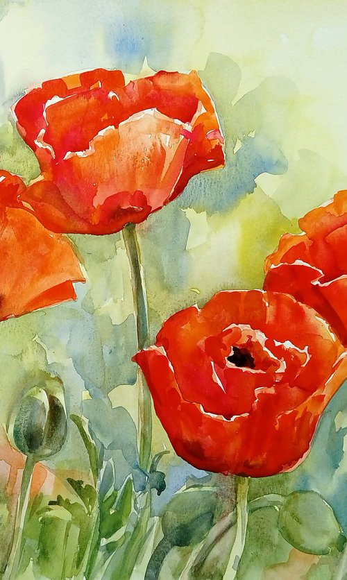 Large red poppies / ORIGINAL watercolor ~20x14in (50x35cm) by Olha Malko