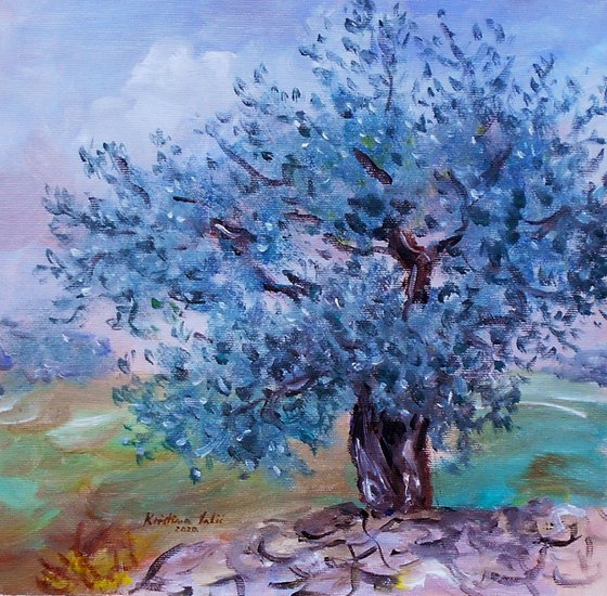 Olive tree