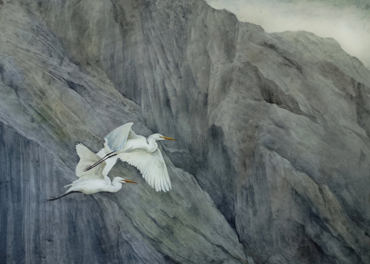 Great Egret Couple - pair of white egrets - white herons by Olga Beliaeva Watercolour