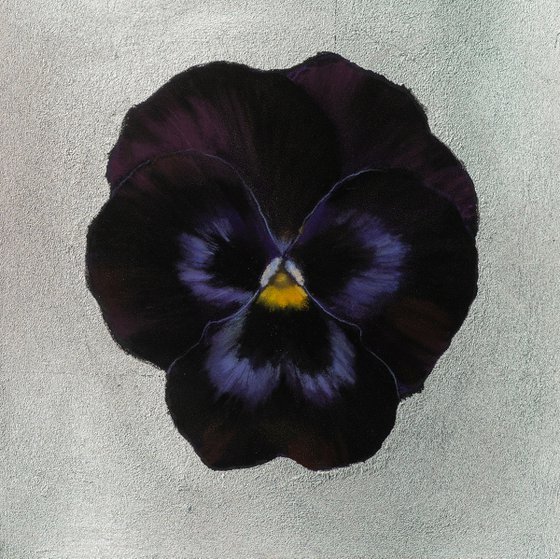 Pansy #13