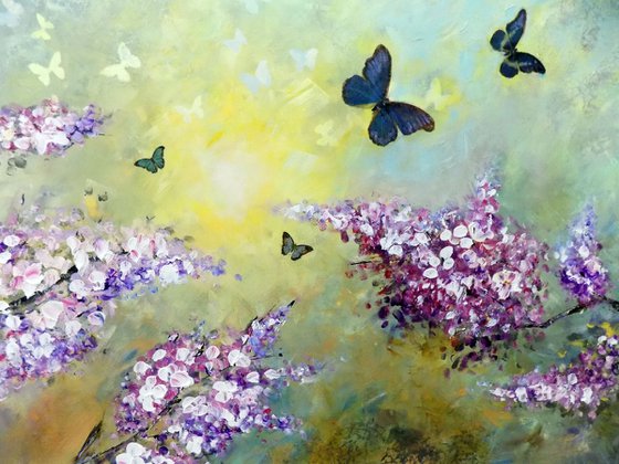 Butterflies and flowers