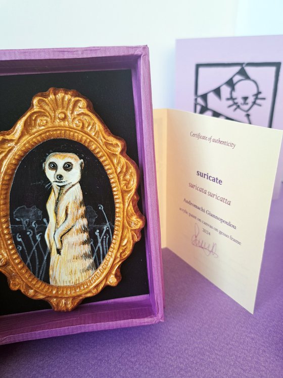 Suricate, part of framed animal miniature series "festum animalium"