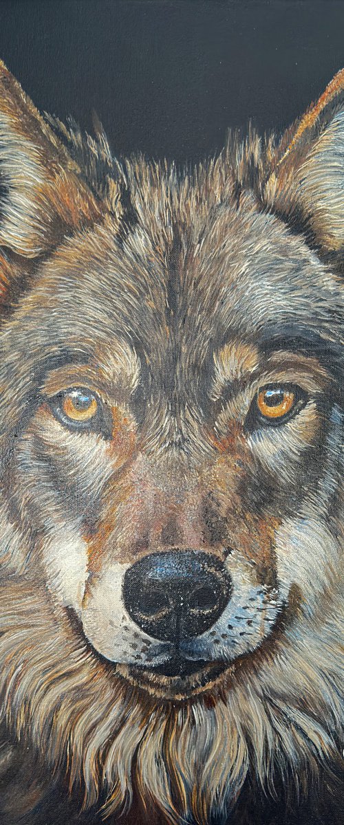 The Gaze by Irina Kurganskaya