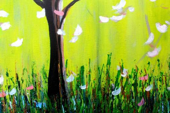 Magnolia Spring