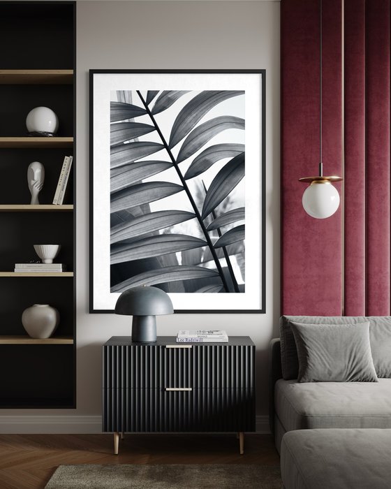 Between Fronds