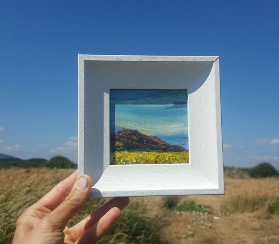 The Summer Fields of Bray Head, Wicklow, Ireland - a Mini Irish Landscape