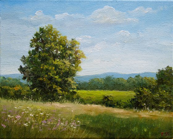 Summer landscape. Oil painting. Original Art. 10 x 8