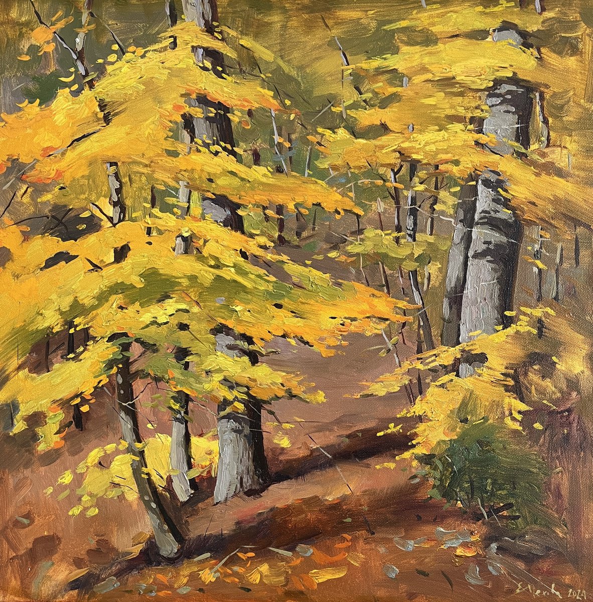 Impressionistic Landscape Oil Painting By Evgeniia Mekhova, 20 X 20, Yellow Forest, Original Artwork