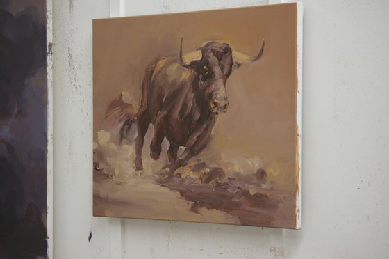 Toro Bravo VI (study)