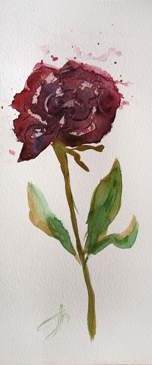 Rose 03  / Original Painting / emotion in the portrait of a flower / color harmony of watercolor / a gift for you by Salana Art Gallery