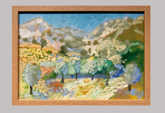 Olive Groves