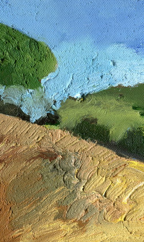 Hay Field Hill by Elizabeth Anne Fox