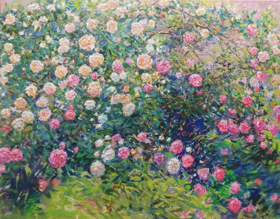 Fragrance of a Rose Garden.