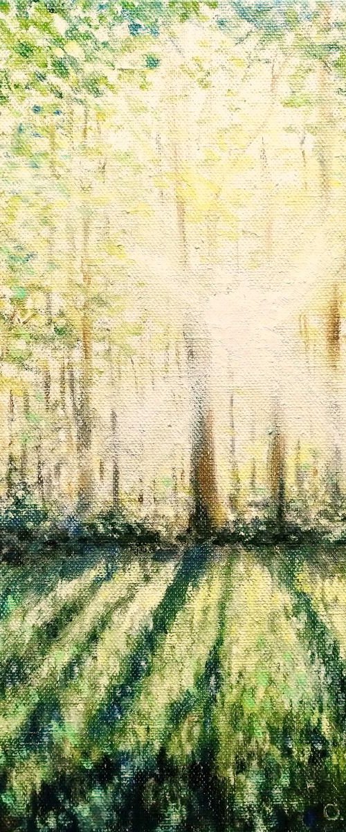 Sun rays by Oleh Rak