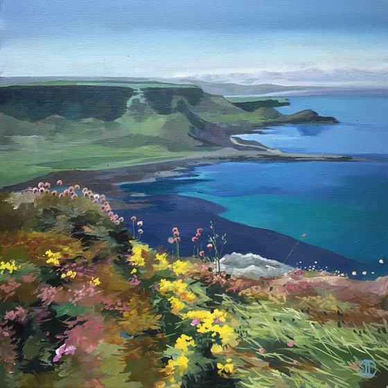 Spring Flowers On The Antrim Coast