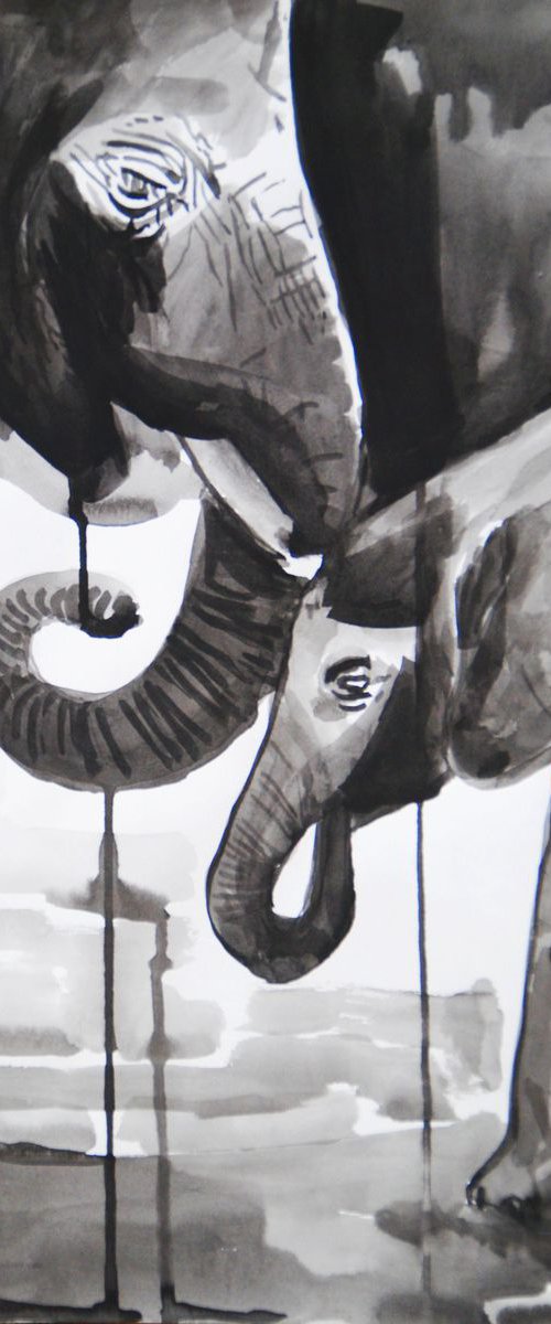 Elephants  / 50 X 34 cm by Alexandra Djokic