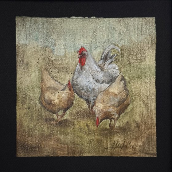 Rooster and hens