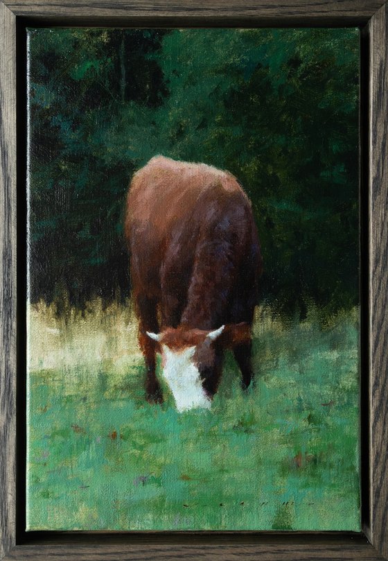 Evening Silence In The Forest