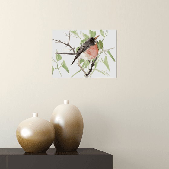 American Robin Bird Art